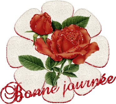 bonne journée a tous